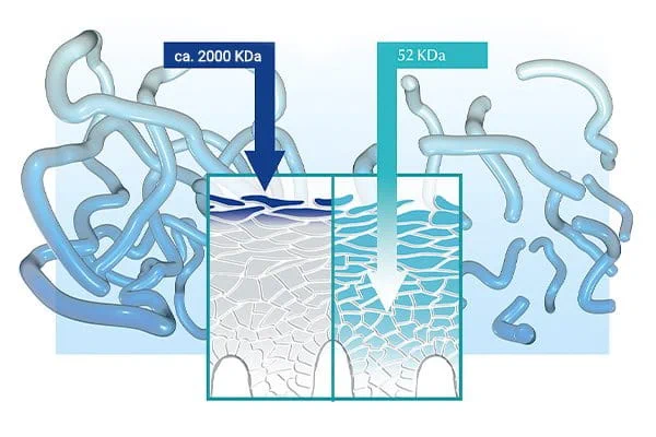Axit hyaluronic phân tử cao (bên trái) và axit hyaluronic phân tử thấp (bên phải)
